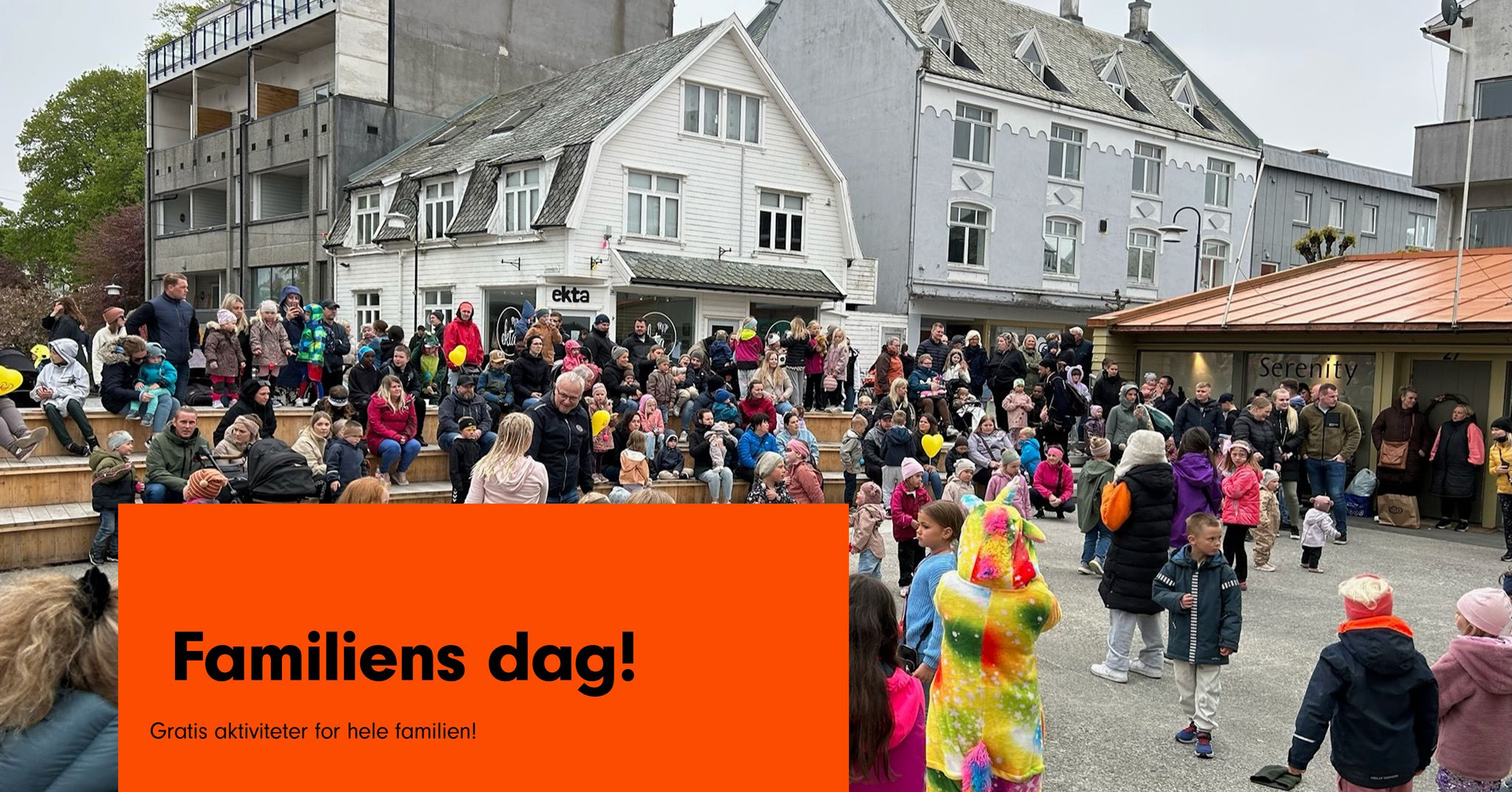 familiens dag kopi
