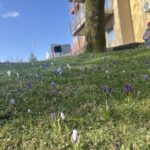 Åpningstider i påsken